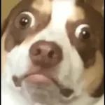 look says many words👀