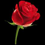 السّلام عليكم ورحمة الله وبركاته