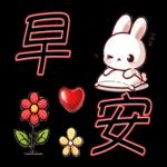 就是可愛的小兔子