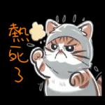 熱血小斑貓1修改版