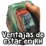 GRUPO CERRADO