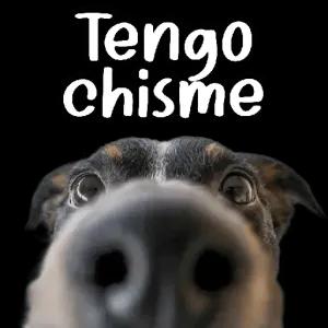 Tengo chisme - getsticker.com