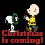 enjoy your Christmas!