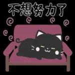 有禮貌的小黑貓  
