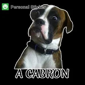 Personal Sticker A CABRON - getsticker.com