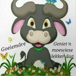 goeie môre 2