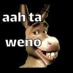 Que no vrga, entiende!