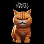 可愛的橘色肥貓!