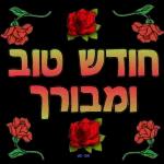 הורדה חינם, עדכונים יומיים, אין צורך בכניסה