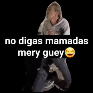 no digas mamadas mery guey - getsticker.com