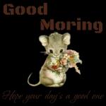 Go check some awsome stickers>>>