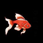 最近好嗎 o的k啦