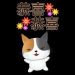 實用大貼圖 職場日常 可愛花貓