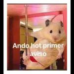 Hoy es noche de sexo