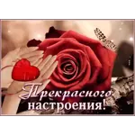 соль