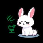 兔聯萌