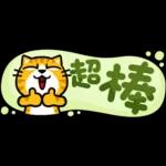 貓爪抓 -小小的你問我答抓-