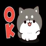 问问题： 柴犬的回答