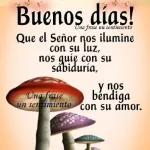 Hoy le pedí a Dios que abriera Las ventas del cielo y Vaciará sobre ti Bendiciones en abundancia Buenos días.