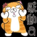 z 像畫嗎?
