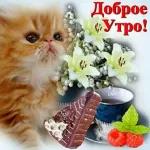 с добрым утром 🌞😊🌺