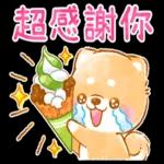 和菓子❤療癒柴犬❤