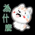 肉圓咪-好用生活貼