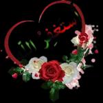 طبتم و طاب صباحبكم
بالرضا والخير
والبركات