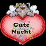 Gute
Nacht