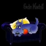 Gute Nacht!