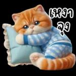 แมวขี้โมโหในชุดนอนสีอ่อน