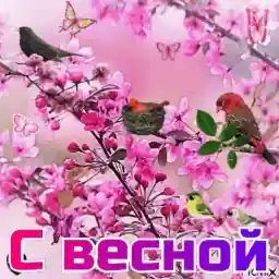Наталья 