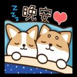 🎉今日福利已送達～