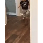 fun. 