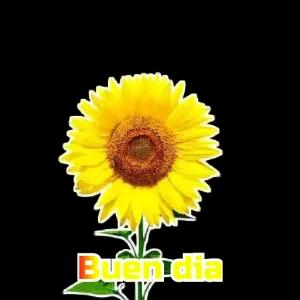 QHTeUC