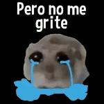 Pero no me grite