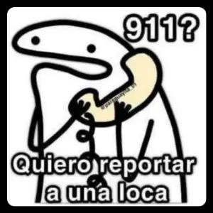 911? Quiero reportar a una loca - getsticker.com
