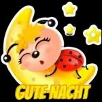 Hab dich lieb