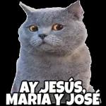 lunes lunes