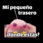 paquete de expresiones diarias de memes