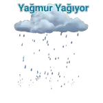 aynur
