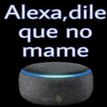 no molestes che