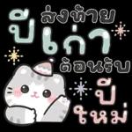 แมวมาร์คัส V.3 : HNY