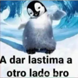 85y6pr