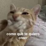 grupo 