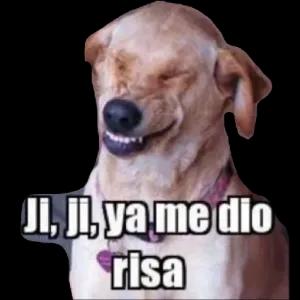 Ji, Ji, ya me dio risa - getsticker.com