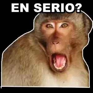 EN SERIO? - getsticker.com