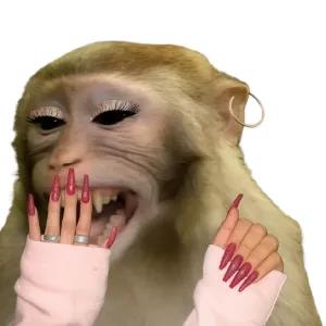 getsticker.com