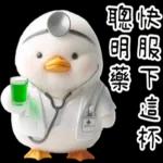 湯圓鴨5：貓貓頭套