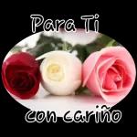 Hasta mañana Dulces sueños